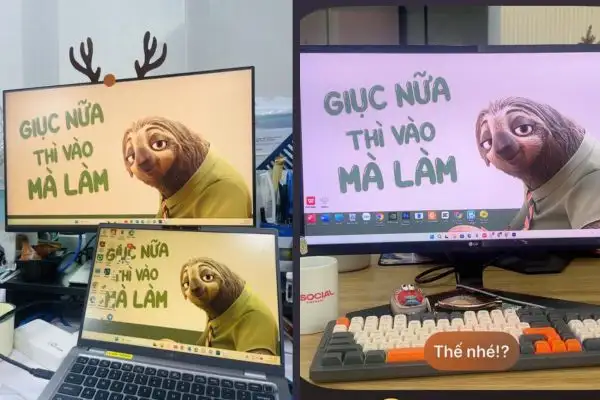 Tải hình nền Giục nữa thì vào mà làm: “Vũ khí” chống deadline hiệu quả