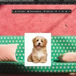 Làm chủ tính năng Harmonize của Photoshop để ghép ảnh