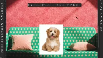 Làm chủ tính năng Harmonize của Photoshop để ghép ảnh