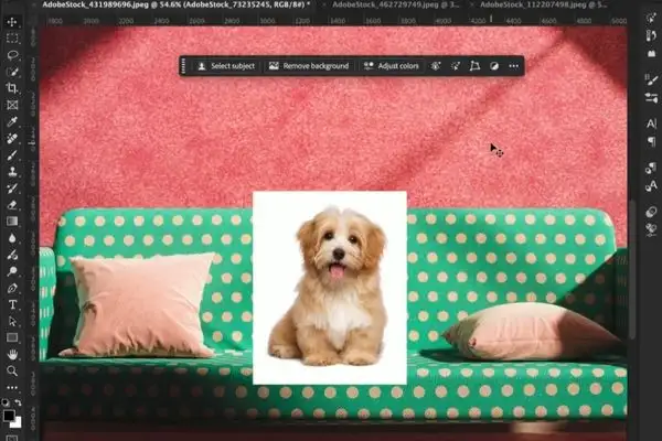 Làm chủ tính năng Harmonize của Photoshop để ghép ảnh 11 Tính năng Harmonize của Photoshop