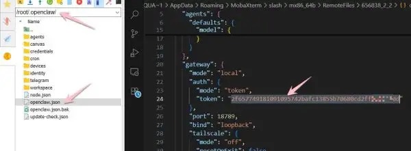 Hướng Dẫn Cấu Hình OpenClaw Trên VPS Ubuntu 2.5G RAM (giá chỉ 18$/năm) 12 Cách lấy mã token OpenClaw trong file config json