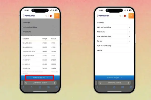 Tra cứu giá bán lẻ nhiên liệu trên nền tảng Petrolimex
