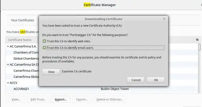 Cách chặn lưu lượng bằng Burp Suite để phân tích HTTP/HTTPS 27