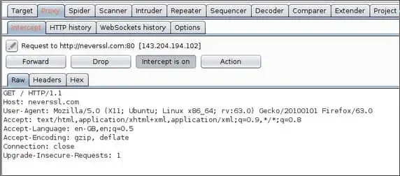 Cách chặn lưu lượng bằng Burp Suite để phân tích HTTP/HTTPS 23