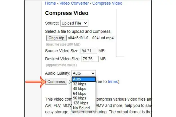 Online Converter