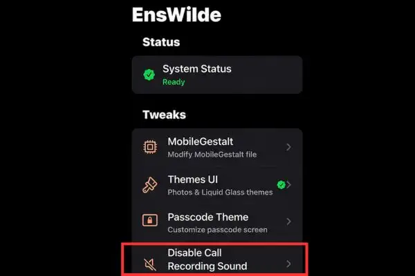Tìm đến mục "Disable Call Recording Sound"