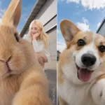 Cách tạo ảnh selfie cùng thú cưng hài hước cho các con sen