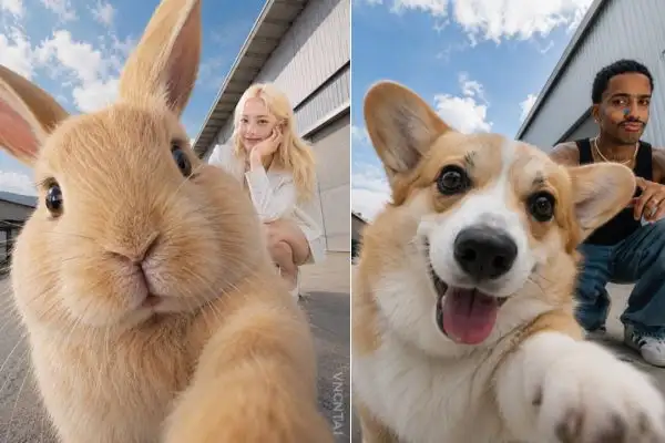Cách tạo ảnh selfie cùng thú cưng hài hước cho các con sen 8 Trào lưu chụp ảnh góc rộng cùng "boss" là gì?