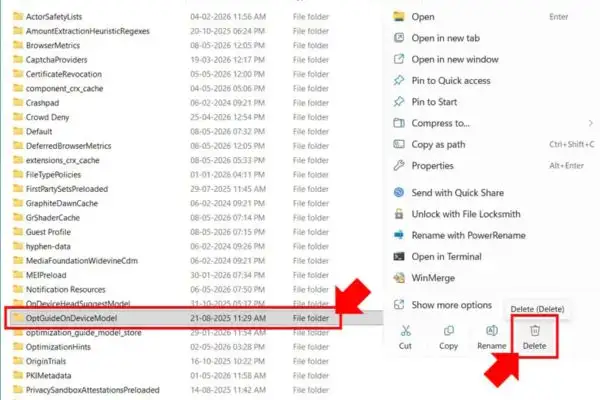 Xóa thư mục OptGuideOnDeviceModel