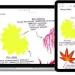 Hướng dẫn cách vẽ trên Note macOS 27 cực kỳ tiện lợi