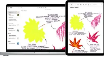 Hướng dẫn cách vẽ trên Note macOS 27 cực kỳ tiện lợi