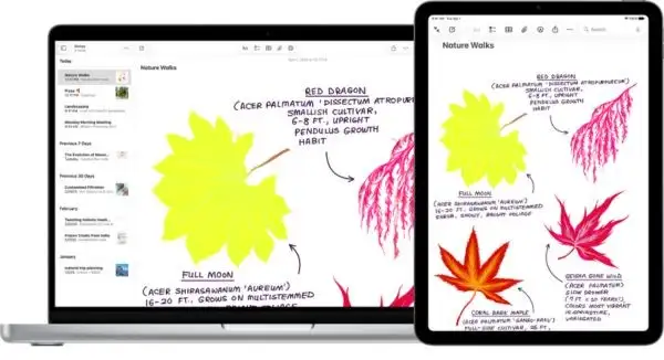 Hướng dẫn cách vẽ trên Note macOS 27 cực kỳ tiện lợi