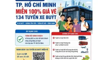 Hướng dẫn đi xe buýt miễn phí tại TPHCM từ tháng 7/2026
