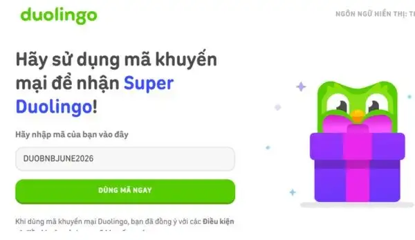Nhập chính xác mã code DUOBNBJUN2026