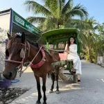 Tám Sạch – Đồng hành cùng không gian xanh của mọi gia đình Việt