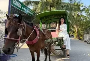 Tám Sạch – Đồng hành cùng không gian xanh của mọi gia đình Việt