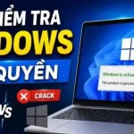 Windows True License: Tool kiểm tra bản quyền phần mềm cực hay