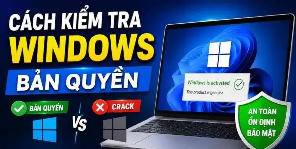 Windows True License: Tool kiểm tra bản quyền phần mềm cực hay